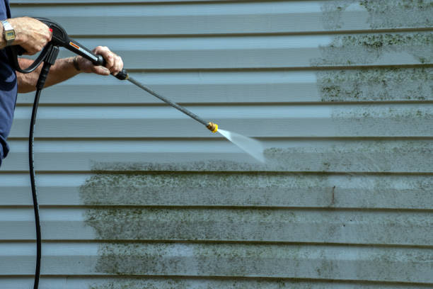 Local Pressure Washing Services in Avon Park, FL